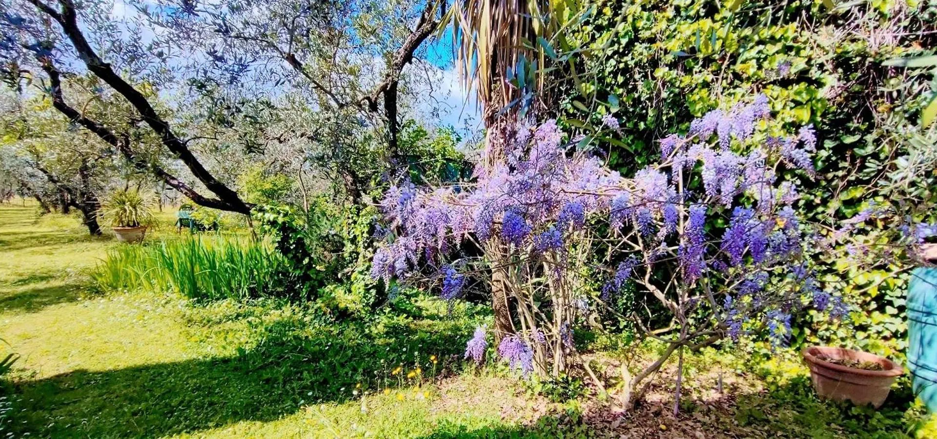 La Casa Dei Nonni Vila Larciano 0*,  Itália