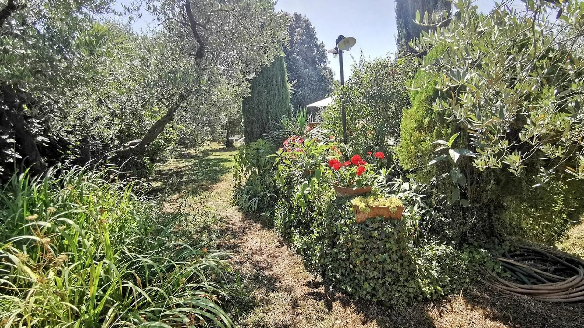 La Casa Dei Nonni Villa Larciano 0*,